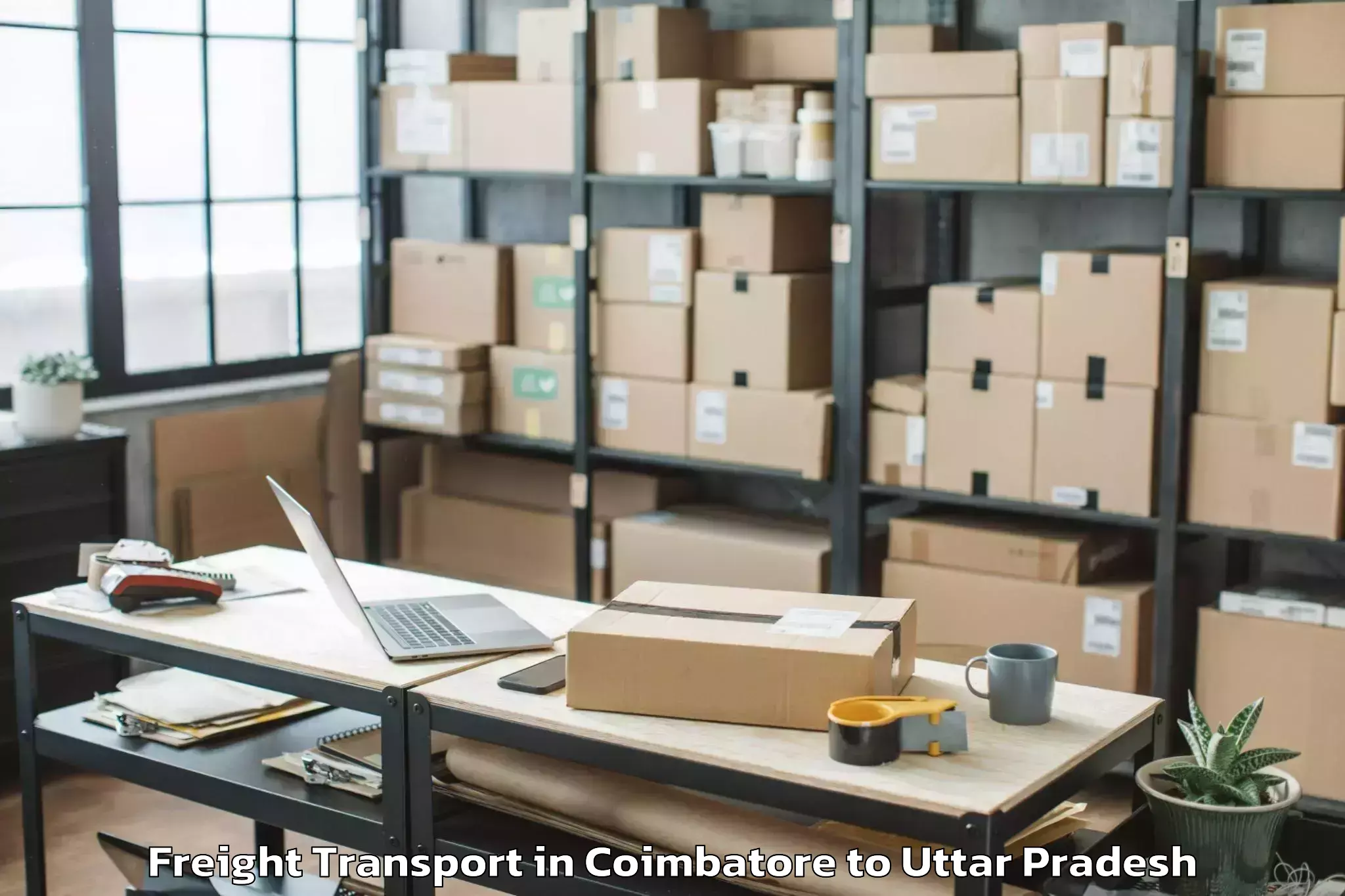 Top Coimbatore to Belthara Road Freight Transport Available